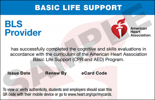 CPR Classes Plano AHA BLS CPR CPR Certification Plano