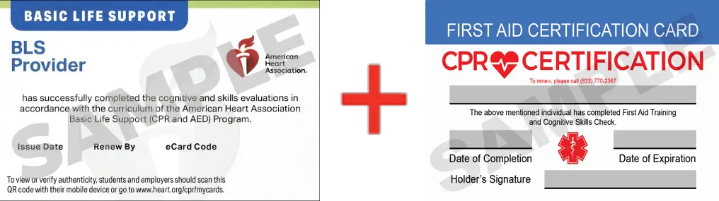 Sample American Heart Association AHA BLS CPR Card Certification and First Aid Certification Card from CPR Certification Plano